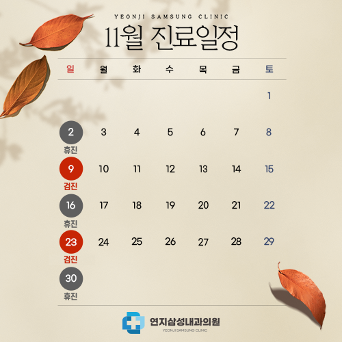 11월진료일정